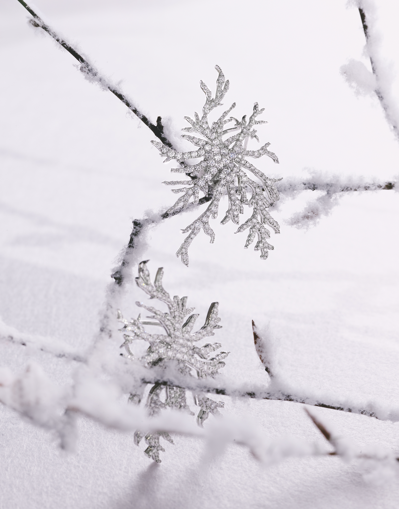Spille a fiocco di neve in diamanti Antoine Incanto del Gelo su rami innevati